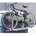 Fiamma Carry Bike T2