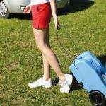 Deposito con ruedas agua potable