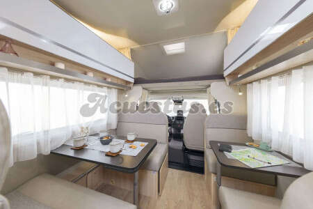 Giottiline Siena 435