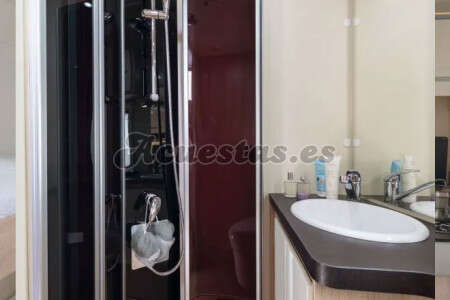 Giottiline Siena 435