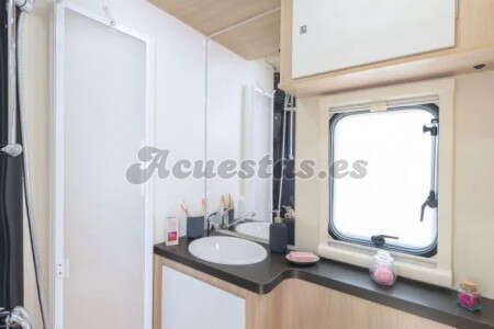 Giottiline Siena 435