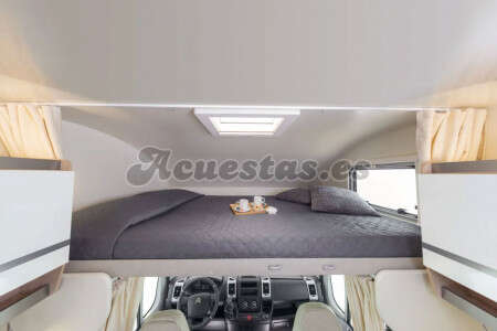 Giottiline Siena 435