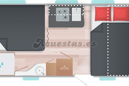 Sterckeman Starlett Graphite 470CP