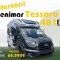OFERTON PRIMAVERA TESSORO 481 NORTHAUTOK0