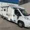 GIOTTILINE - TERRY T330