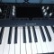 Waldorf Iridium Keyboard + Regalo
